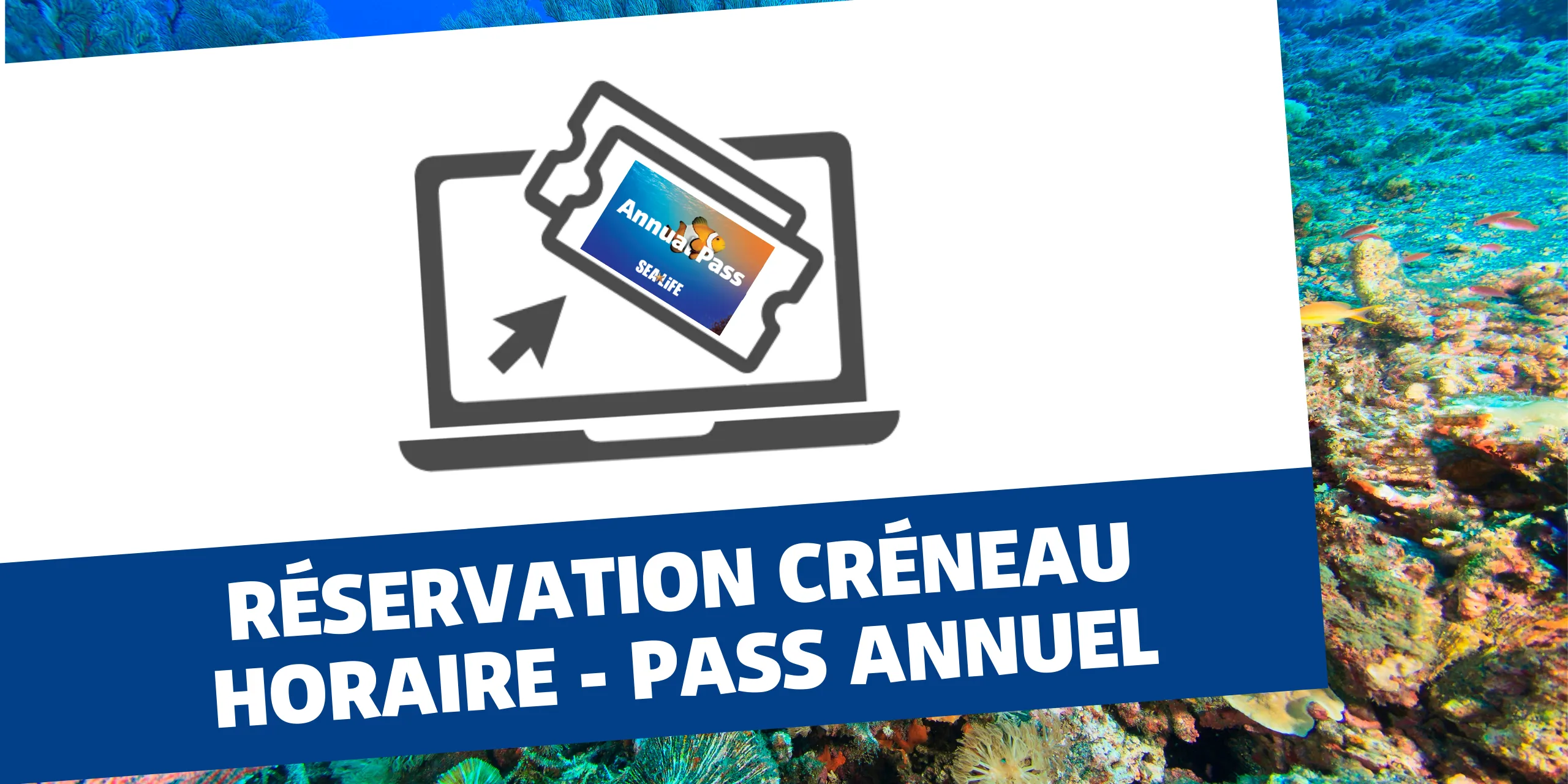Website 2 1 2560 X 1280 Pass Annuel Creneau Horaire