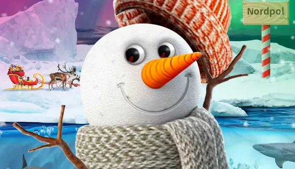 Sl Snowy Promo Event Page 1000X1000px
