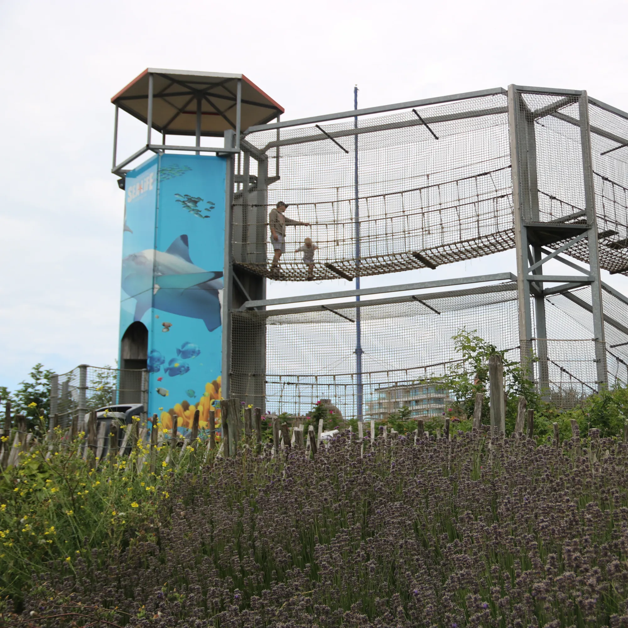 Klimavontuur