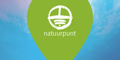 NP